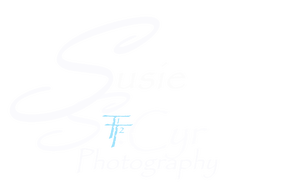 Susie St.Cyr Photography